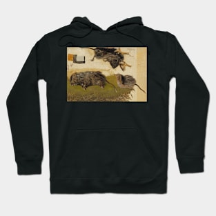 Rodents by Ferdinand von Wright Hoodie